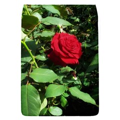 Deep Red Rose Removable Flap Cover (s) by okhismakingart