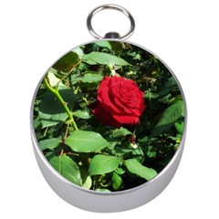 Deep Red Rose Silver Compasses by okhismakingart