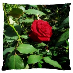 Deep Red Rose Standard Flano Cushion Case (one Side) by okhismakingart