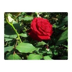 Deep Red Rose Double Sided Flano Blanket (mini)  by okhismakingart