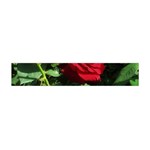 Deep Red Rose Flano Scarf (Mini) Front