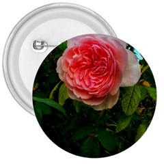 Complex Pink Rose 3  Buttons by okhismakingart