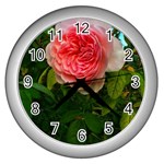 Complex Pink Rose Wall Clock (Silver) Front