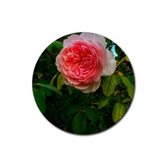 Complex Pink Rose Rubber Coaster (round)  by okhismakingart