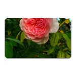 Complex Pink Rose Magnet (Rectangular) Front