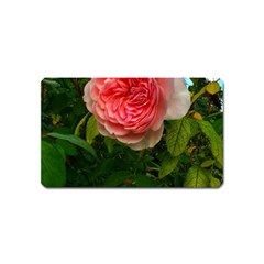 Complex Pink Rose Magnet (name Card) by okhismakingart