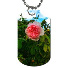 Complex Pink Rose Dog Tag (one Side) by okhismakingart