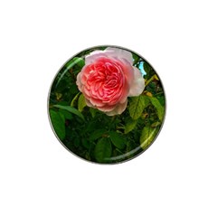 Complex Pink Rose Hat Clip Ball Marker (4 Pack) by okhismakingart