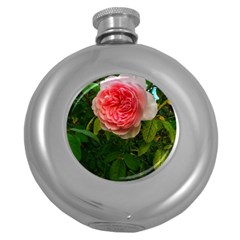 Complex Pink Rose Round Hip Flask (5 Oz) by okhismakingart