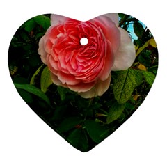 Complex Pink Rose Heart Ornament (two Sides) by okhismakingart