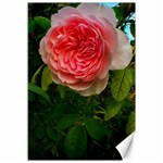 Complex Pink Rose Canvas 12  x 18  11.88 x17.36  Canvas - 1