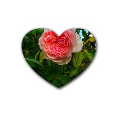 Complex Pink Rose Rubber Coaster (heart)  by okhismakingart