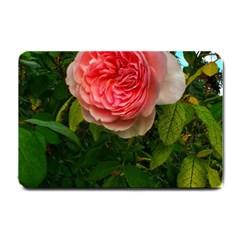 Complex Pink Rose Small Doormat  by okhismakingart