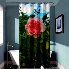 Complex Pink Rose Shower Curtain 36  X 72  (stall)  by okhismakingart