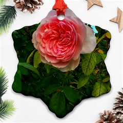 Complex Pink Rose Ornament (snowflake) by okhismakingart