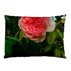 Complex Pink Rose Pillow Case (two Sides) by okhismakingart