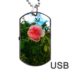 Complex Pink Rose Dog Tag Usb Flash (two Sides) by okhismakingart