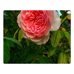 Complex Pink Rose Double Sided Flano Blanket (large)  by okhismakingart