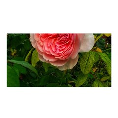 Complex Pink Rose Satin Wrap by okhismakingart