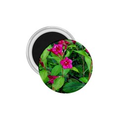 Purple Park Flowers 1 75  Magnets by okhismakingart