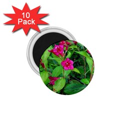 Purple Park Flowers 1 75  Magnets (10 Pack)  by okhismakingart