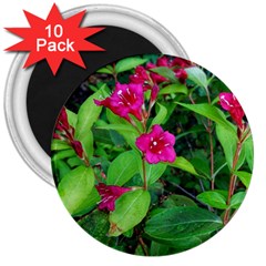 Purple Park Flowers 3  Magnets (10 Pack) 