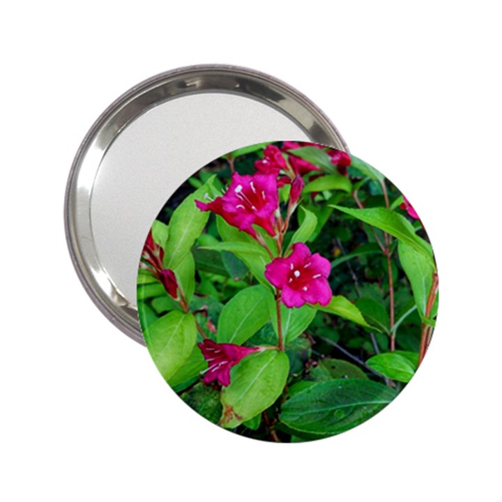 Purple Park Flowers 2.25  Handbag Mirrors