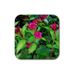 Purple Park Flowers Rubber Coaster (square)  by okhismakingart