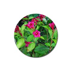 Purple Park Flowers Magnet 3  (round) by okhismakingart