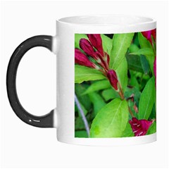 Purple Park Flowers Morph Mugs by okhismakingart