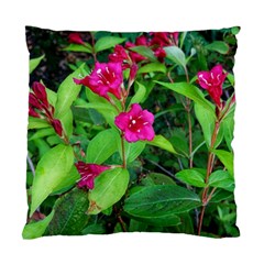 Purple Park Flowers Standard Cushion Case (one Side) by okhismakingart