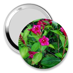 Purple Park Flowers 3  Handbag Mirrors by okhismakingart