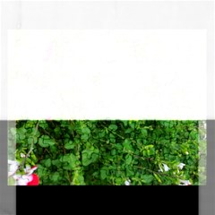 Red And White Park Flowers Rectangular Jigsaw Puzzl by okhismakingart