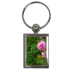 Light Pink Roses Key Chains (rectangle)  by okhismakingart