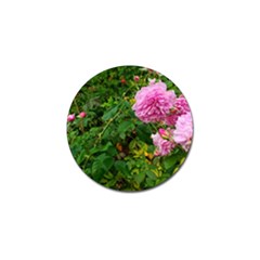 Light Pink Roses Golf Ball Marker by okhismakingart