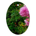 Light Pink Roses Oval Ornament (Two Sides) Front