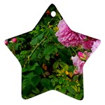 Light Pink Roses Star Ornament (Two Sides) Front