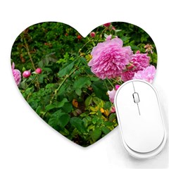 Light Pink Roses Heart Mousepads by okhismakingart