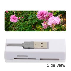 Light Pink Roses Memory Card Reader (stick) by okhismakingart