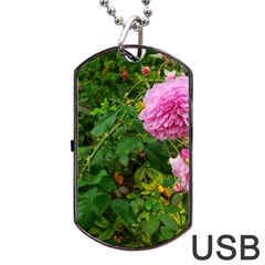 Light Pink Roses Dog Tag Usb Flash (one Side) by okhismakingart