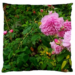 Light Pink Roses Standard Flano Cushion Case (one Side) by okhismakingart