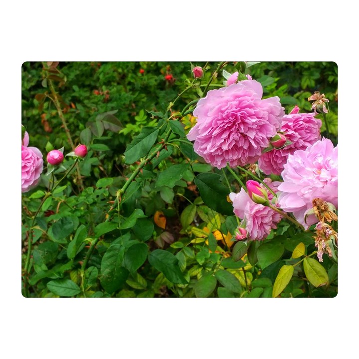 Light Pink Roses Double Sided Flano Blanket (Mini) 