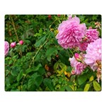 Light Pink Roses Double Sided Flano Blanket (Large)  Blanket Back