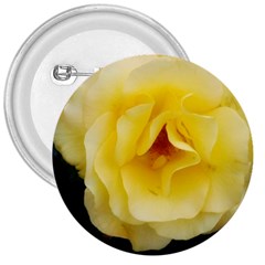 Pale Yellow Rose 3  Buttons by okhismakingart