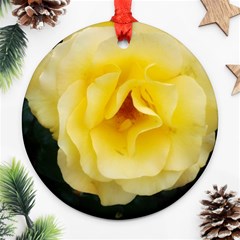 Pale Yellow Rose Ornament (round) by okhismakingart