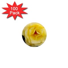 Pale Yellow Rose 1  Mini Magnets (100 Pack)  by okhismakingart