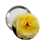 Pale Yellow Rose 2.25  Handbag Mirrors Front