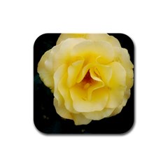 Pale Yellow Rose Rubber Square Coaster (4 Pack)  by okhismakingart