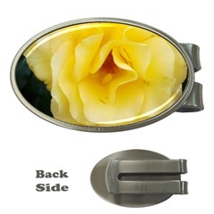 Pale Yellow Rose Money Clips (oval)  by okhismakingart