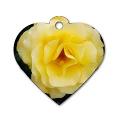 Pale Yellow Rose Dog Tag Heart (two Sides) by okhismakingart